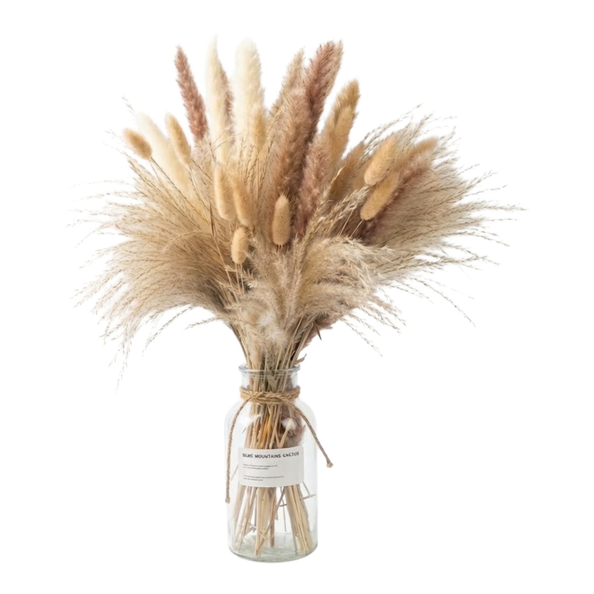 Pampas Grass Bundle 100 Stems